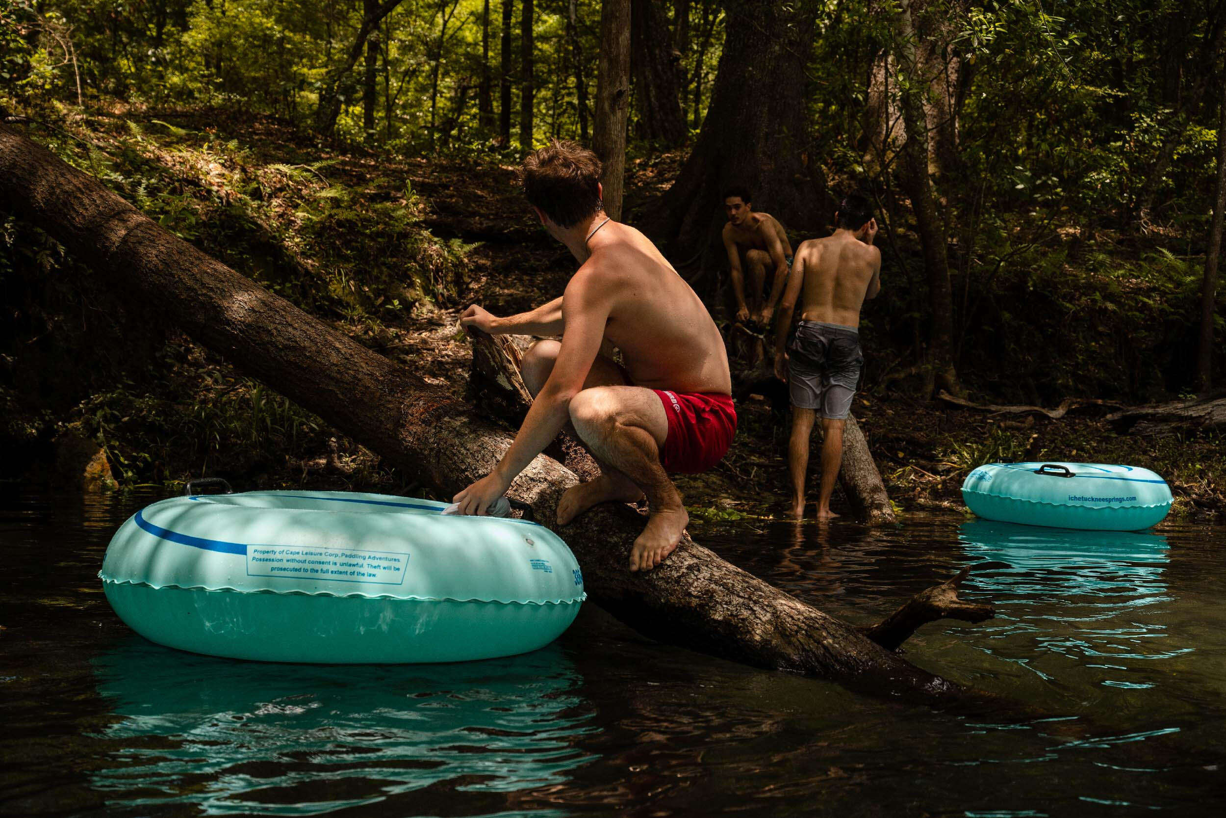 David G Moreno, Tampa, photographer